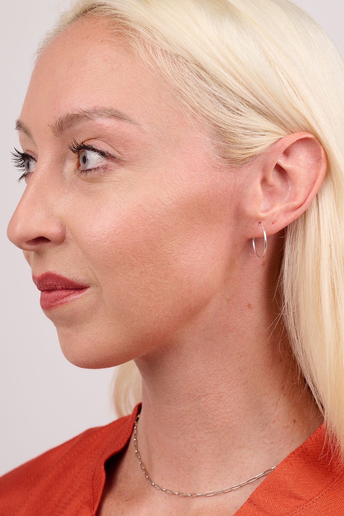 Silver Endless Hoops