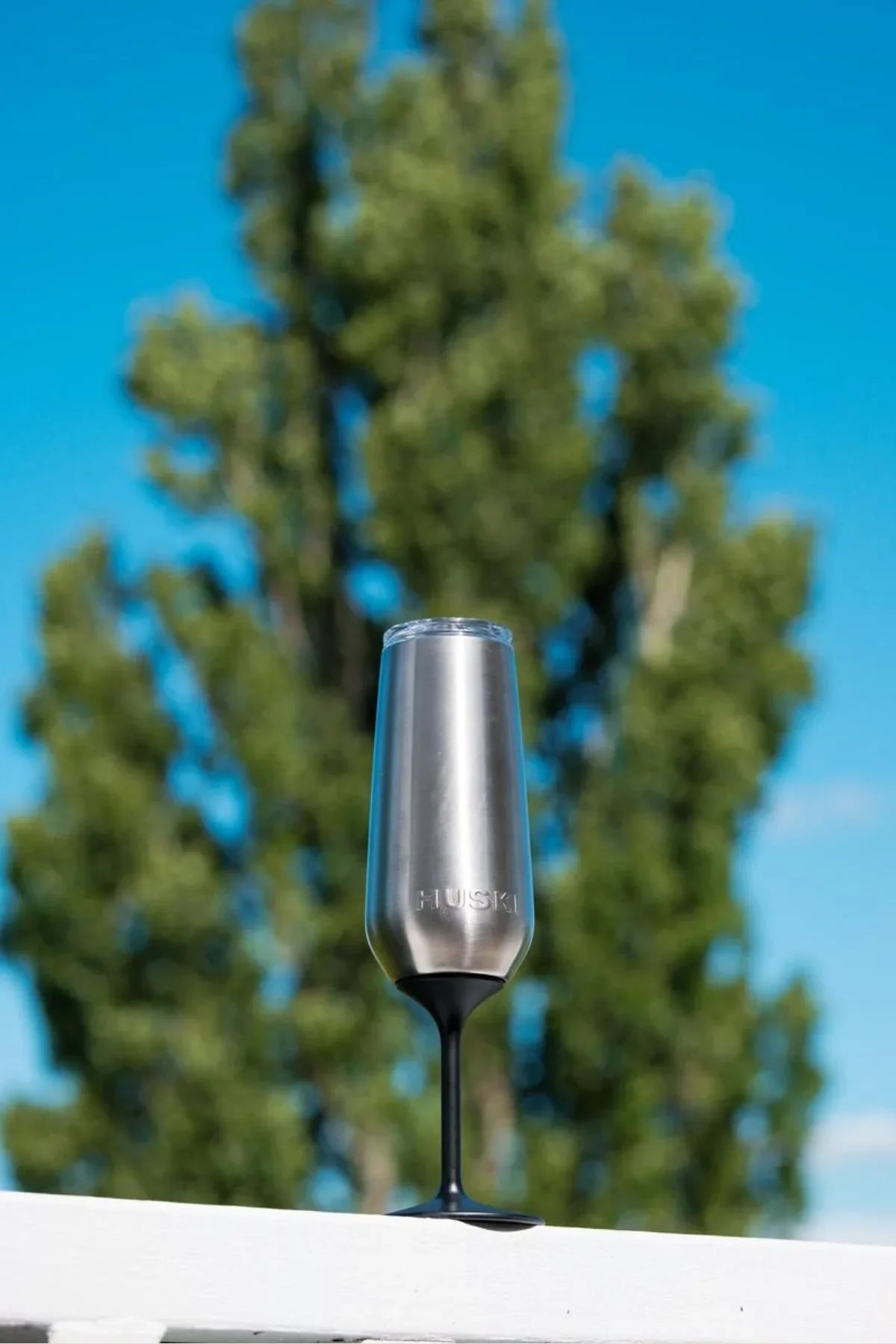 Silver champagne flute with black base against a blue sky and green trees